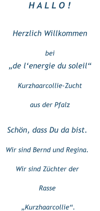 Herzlich Willkommen  bei „de l‘energie du soleil“ Kurzhaarcollie-Zucht aus der Pfalz Schön, dass Du da bist. Wir sind Bernd und Regina. Wir sind Züchter der  Rasse  „Kurzhaarcollie“.  H A L L O !