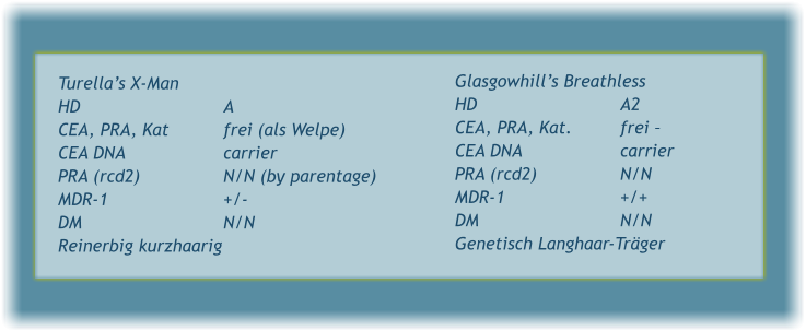 Turella’s X-Man HD 				A CEA, PRA, Kat 		frei (als Welpe) CEA DNA 			carrier PRA (rcd2) 		N/N (by parentage) MDR-1 			+/- DM 				N/N Reinerbig kurzhaarig  Glasgowhill’s Breathless HD 				A2 CEA, PRA, Kat. 		frei –  CEA DNA 			carrier PRA (rcd2) 		N/N MDR-1 			+/+ DM 				N/N Genetisch Langhaar-Träger