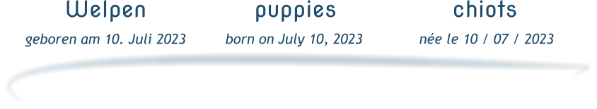 Welpen geboren am 10. Juli 2023 puppies born on July 10, 2023 chiots  née le 10 / 07 / 2023